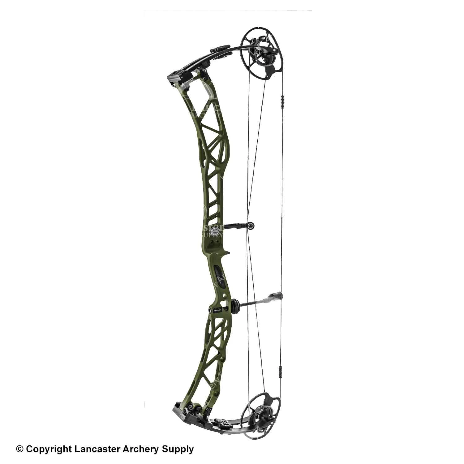 Elite Verdict Target Compound Bow - Image 3