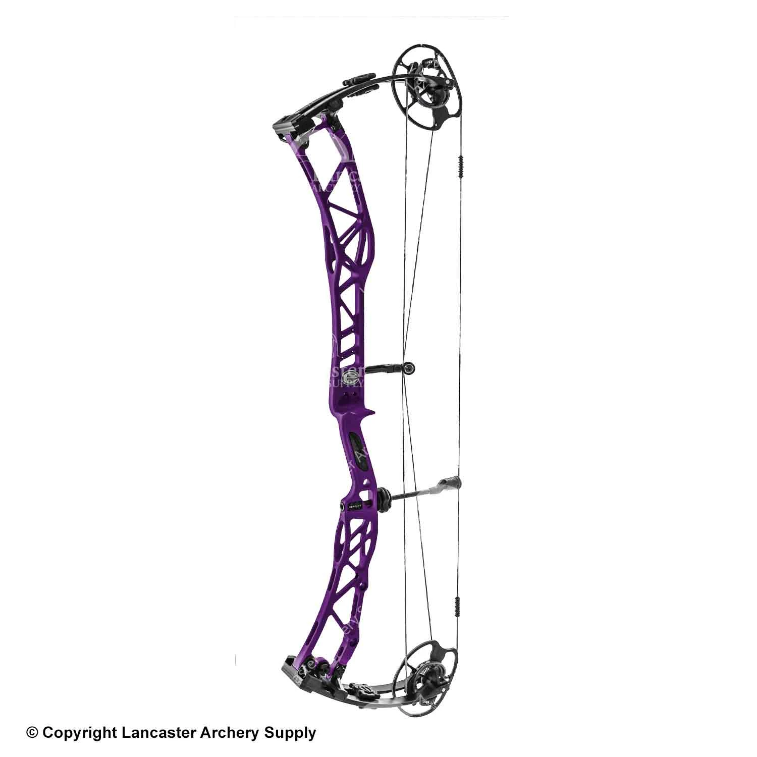 Elite Verdict Target Compound Bow - Image 4