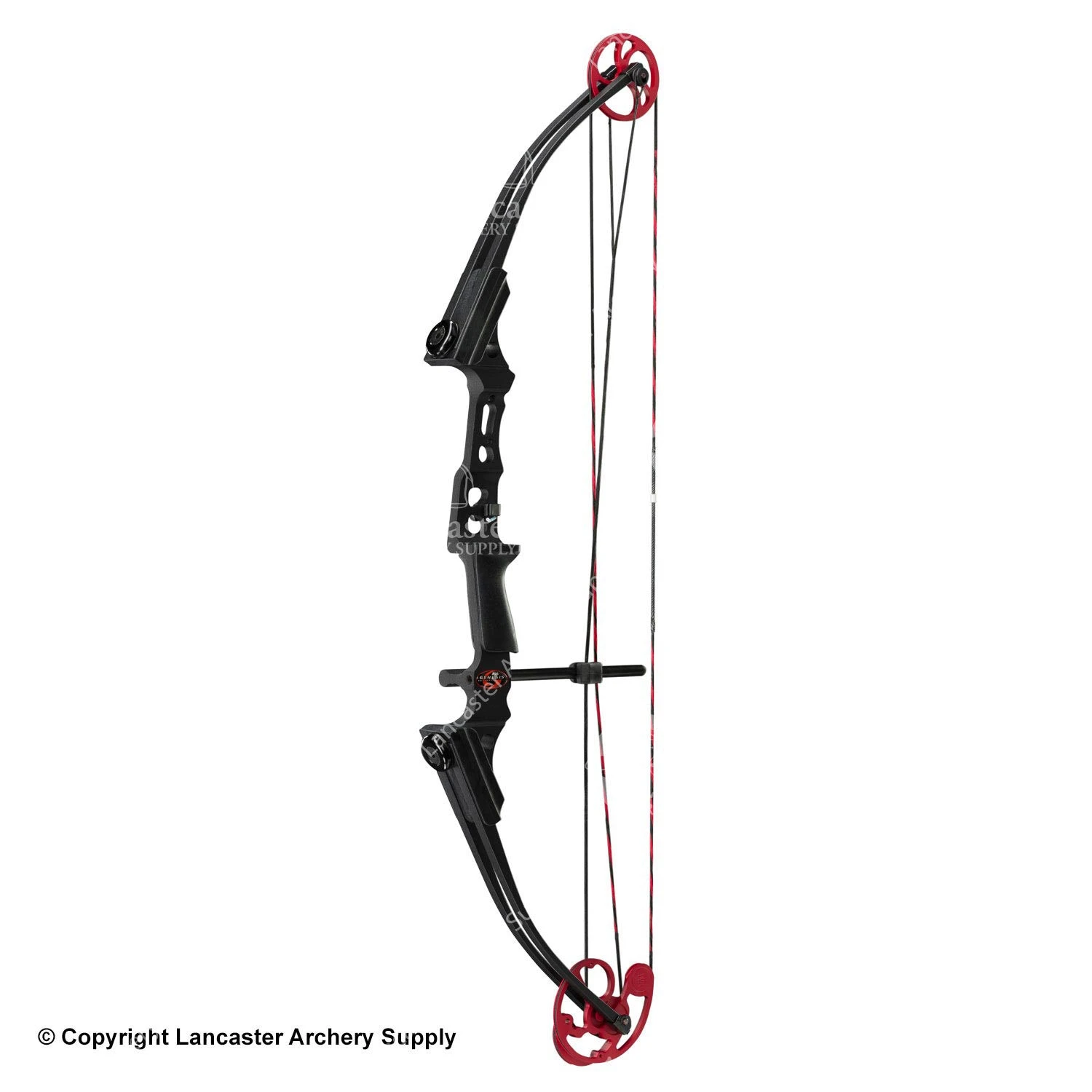 Genesis Archery Mini Genesis Bow (Colors) - Image 2
