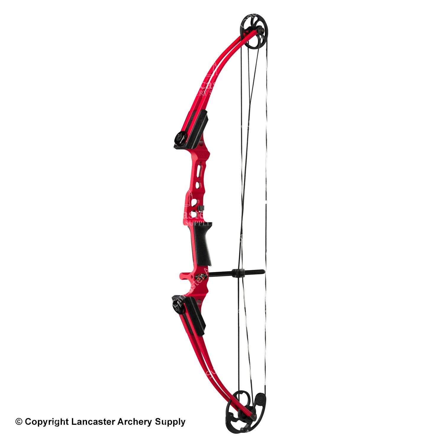 Genesis Archery Mini Genesis Bow (Colors)