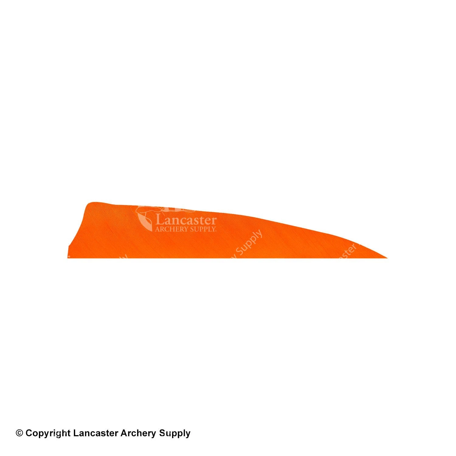 Gateway 5" Shield Feather - Image 14