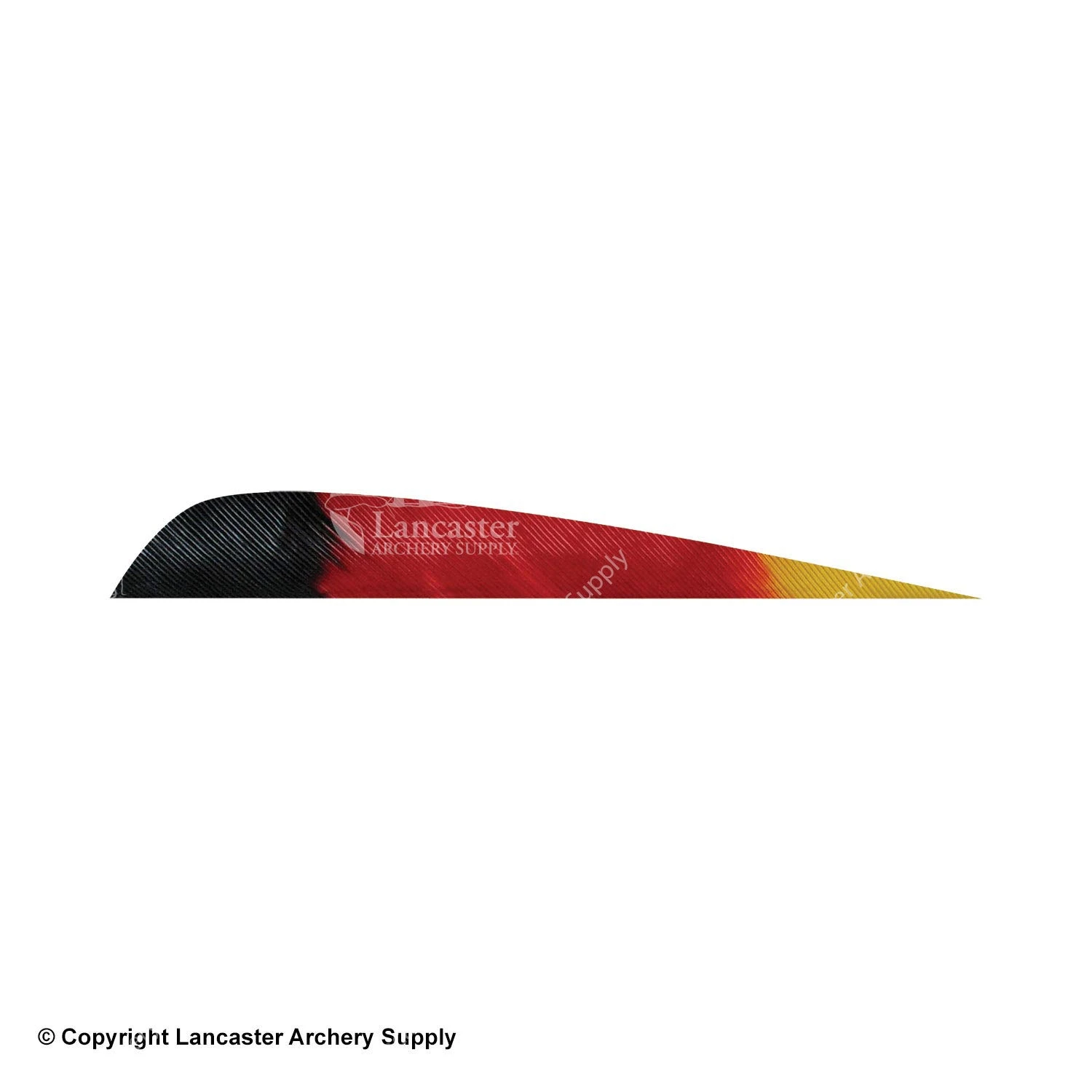 Gateway 4" Parabolic Patriot Feather - Image 2