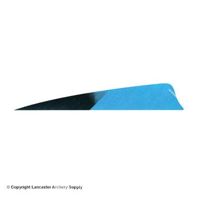 Gateway 5" Shield Hann-Bun Kuro Feather - Image 7