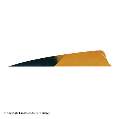 Gateway 5" Shield Hann-Bun Kuro Feather - Image 4