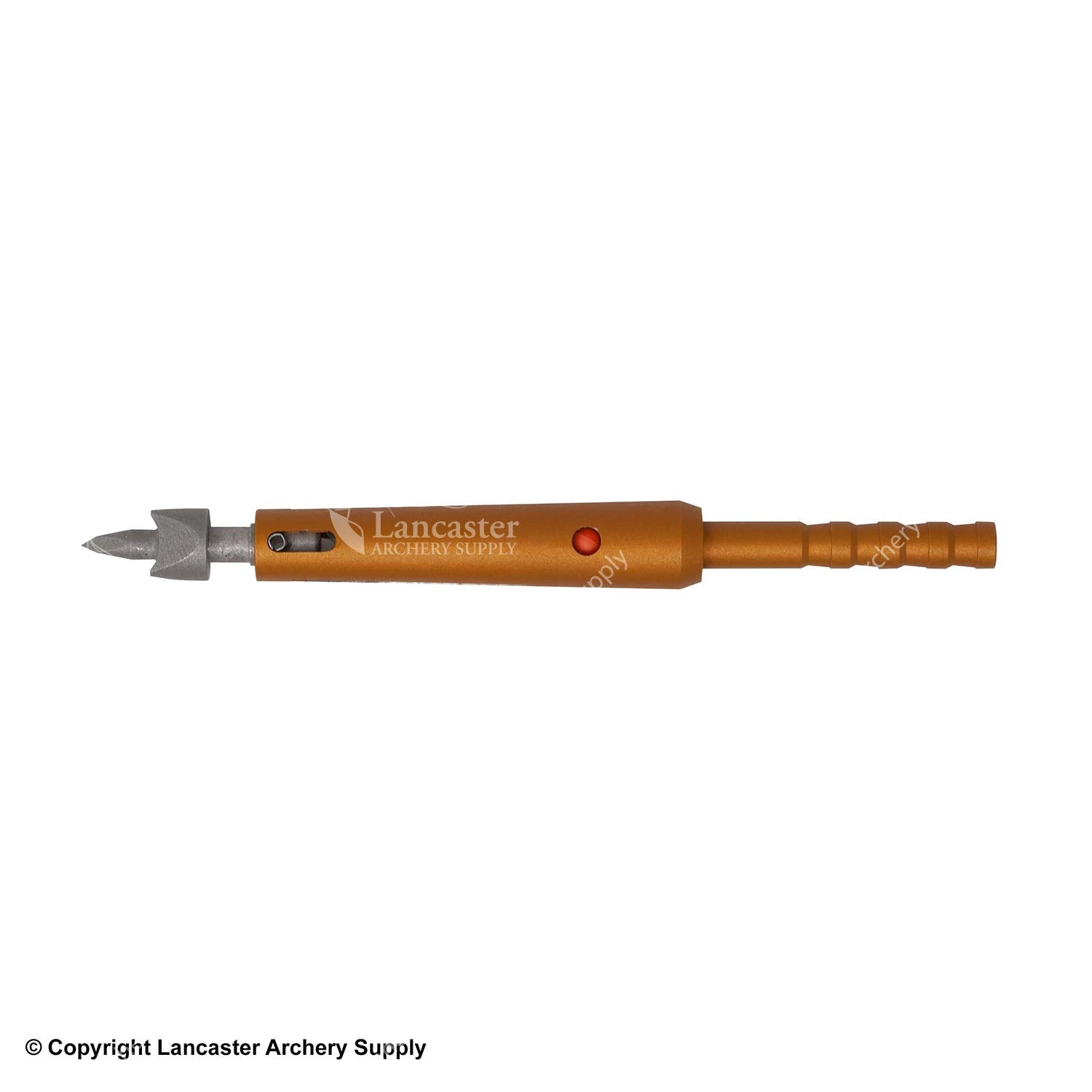 Thorn GI Expandable Broadhead - Image 4