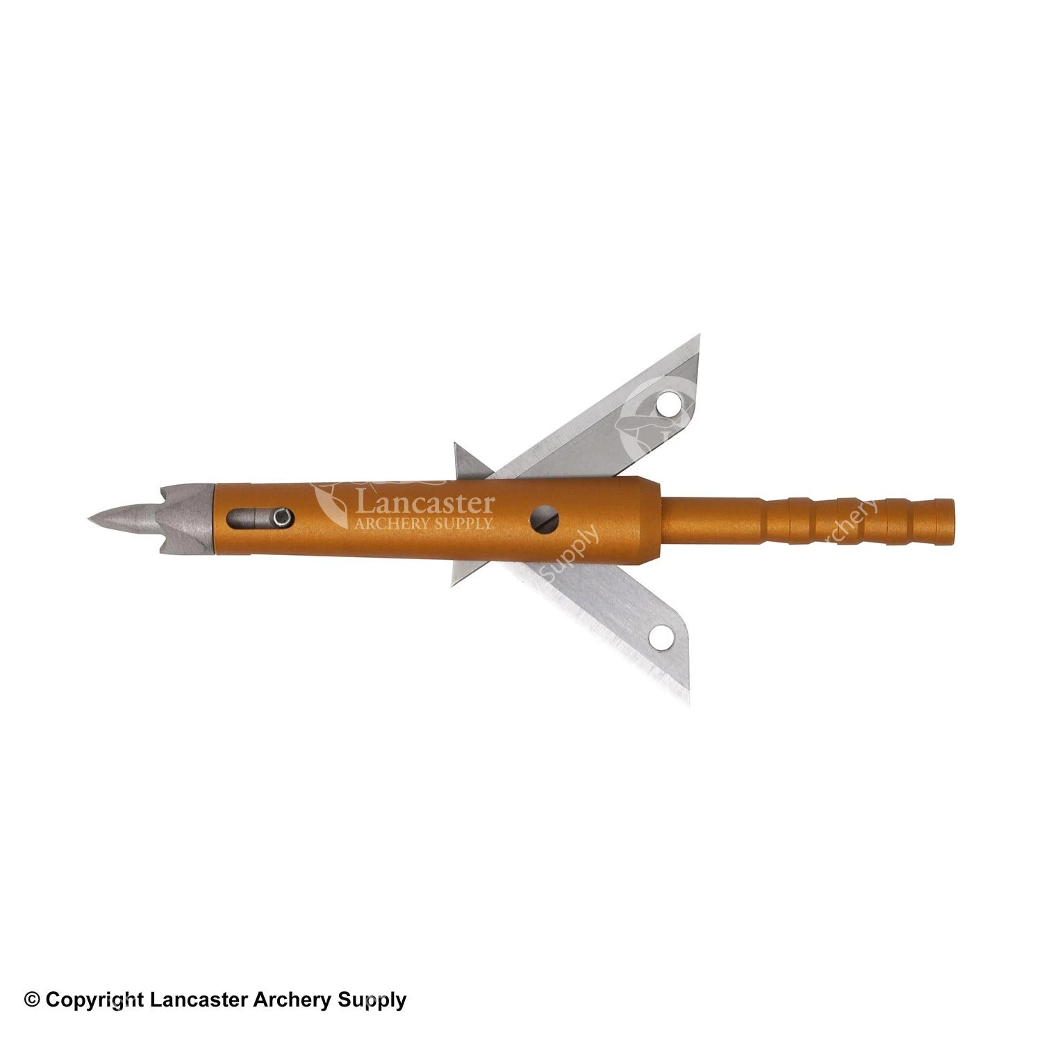 Thorn GI Expandable Broadhead - Image 2