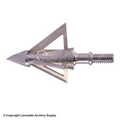 Wasp Mortem Broadhead