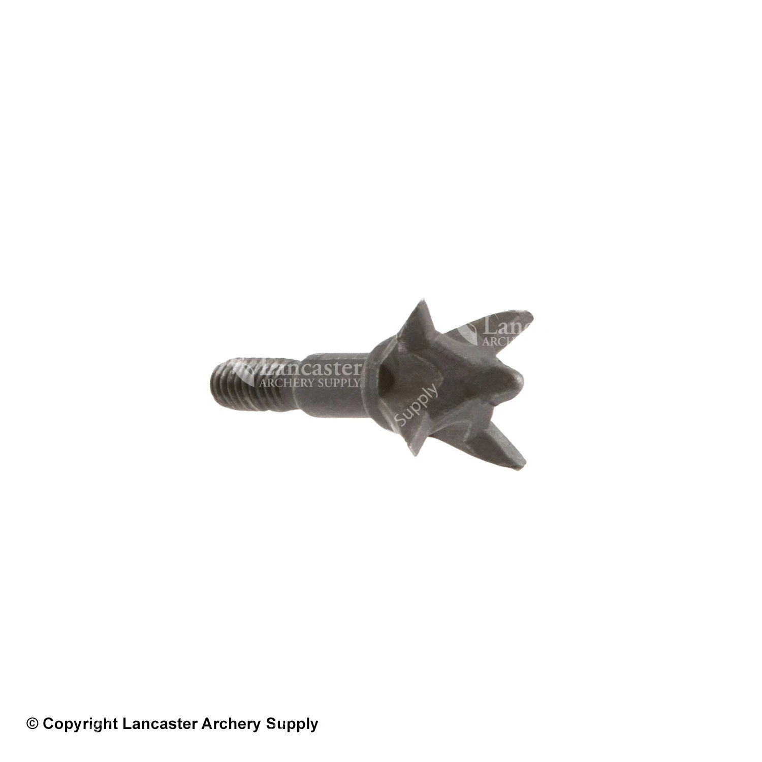 Titan Thrasher Small Game Heads By Allen