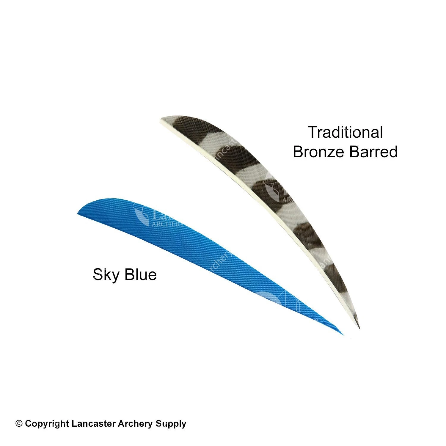 Trueflight 4" Round Back Feathers (18 Count Combo Pack) - Image 8