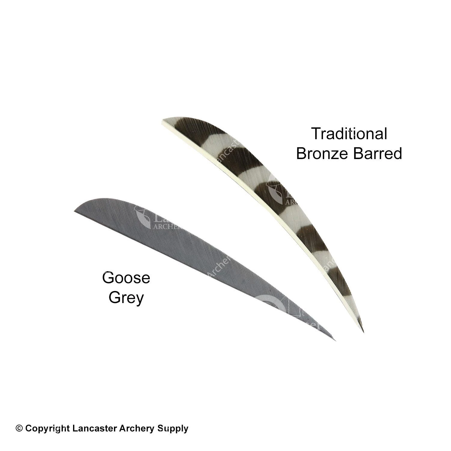 Trueflight 4" Round Back Feathers (18 Count Combo Pack) - Image 10