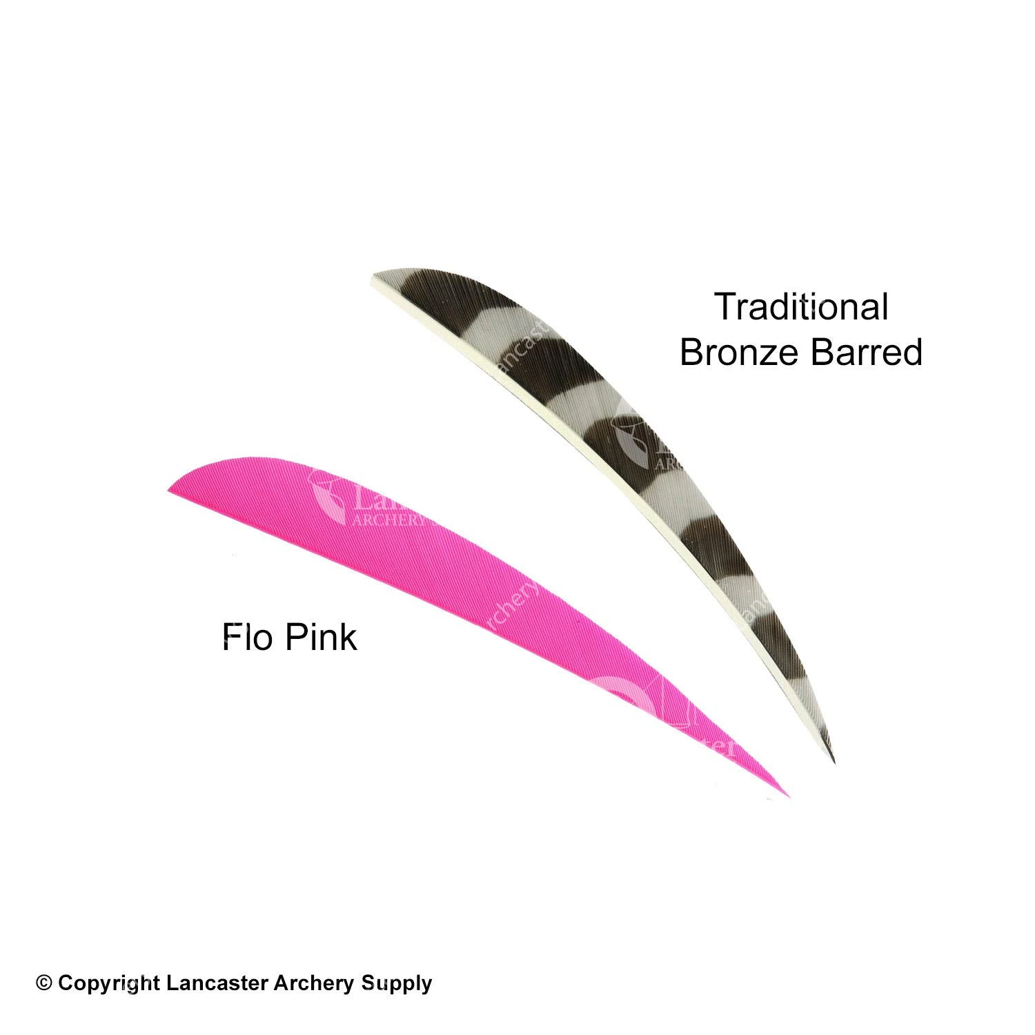 Trueflight 4" Round Back Feathers (18 Count Combo Pack) - Image 2