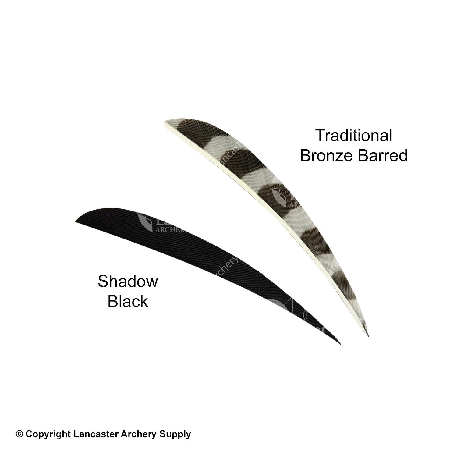 Trueflight 5" Round Back Feathers (18 Count Combo Pack) - Image 9