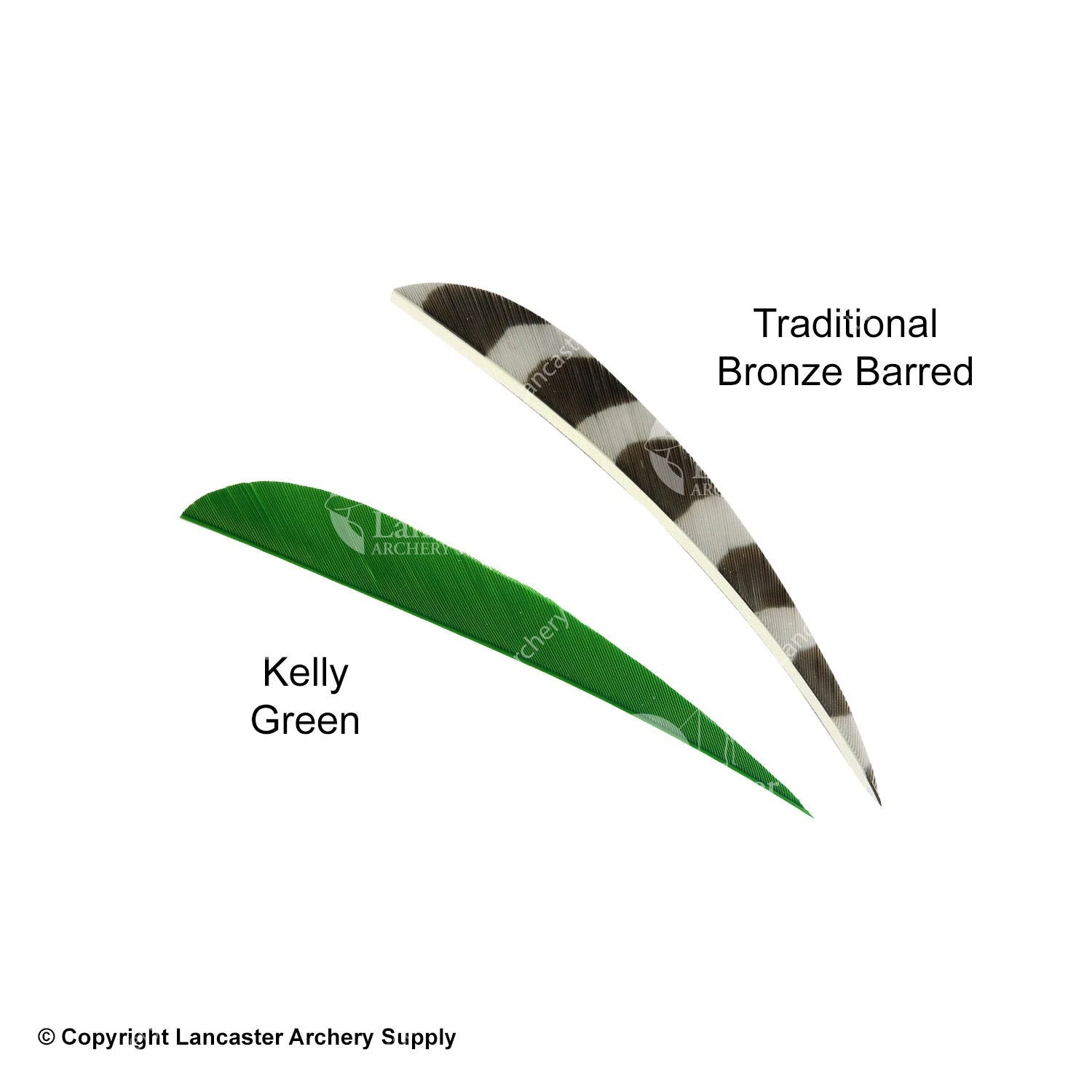 Trueflight 5" Round Back Feathers (18 Count Combo Pack) - Image 7