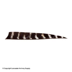 Bearpaw 4" Shield Cut Natural Barred Feather