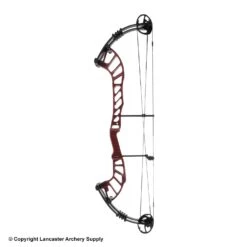Hoyt Altus 38 Compound Target Bow (SVX)(Clearance X1032769)